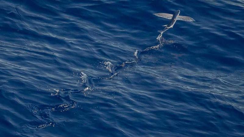 tv1988影院-恐怖片高清剧照